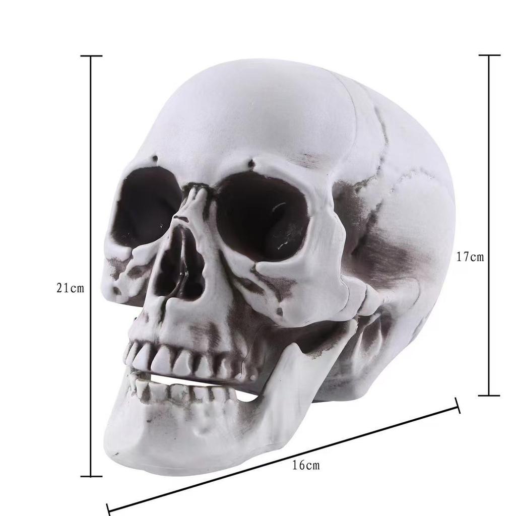 Skull Props: Halloween Haunted House & Escape Room Decorations