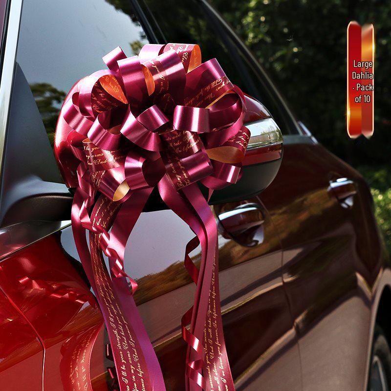 Wedding Car and Room Decor Set with Ribbons and Butterflies