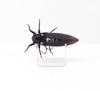 Jackson Namazemi Cicada Floating Lure ABZ (4988)