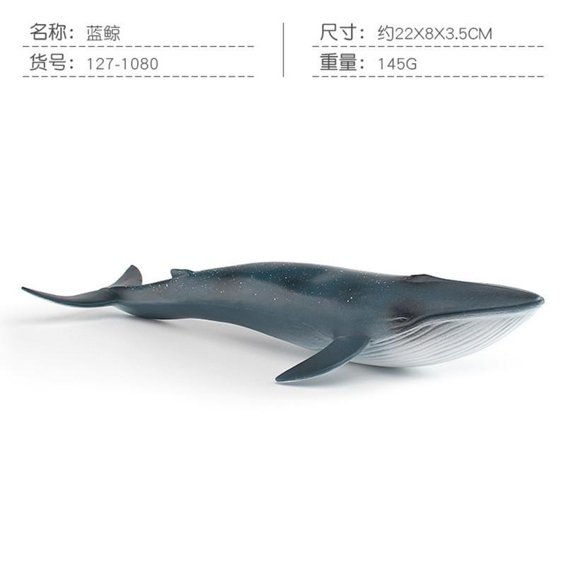 Authentic Plastic Simulation Marine Animal Figures Including Blue Whale Alligator Gar And Octopus