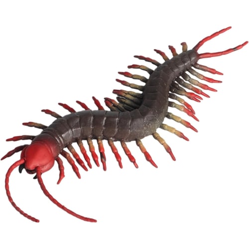 MAIBED Centipede Figure, Centipede Model, Chilopoda, Toy, Stress Reliever, Arthropod, Plastic Model, Realistic, TPR Material, Decorative Ornament, OpJ