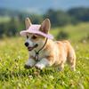 Exposed Ears Dog Fisherman Hat Adjustable Strap Dog Sunscreen Hat Pet Baseball Cap  Dog Accessories