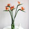 3pcs Artificial Bird Of Paradise Flowers Rubber Strelitzia 24.5'' Long Stem Flower Suitable For DIY Home Party Theme Decor