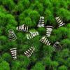 304 Stainless Steel MTB Road Bike Bike Hub Spring Cycling Hub Lever Shaft Spring Quick-Release