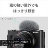 Sony VLOGCAM ZV-1 Body 24-70mm F1.8-2.8 Zoom Lens Wind Screen Black