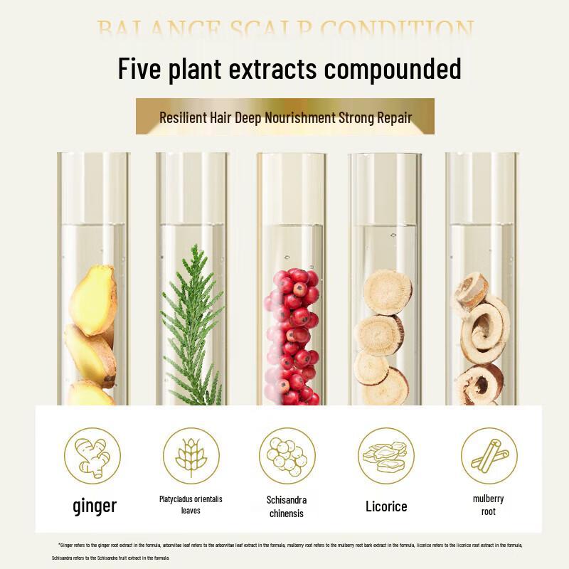 Siyuan Ginger Oil Control Hair Conditioner