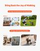 Dog Wheelchair for Back Legs, Adjustable 2 Wheels Pet Wheelchair, Lightweight Dog Cart with Shock-Absorbing Wheels, Mobility Support Wheel Chair for