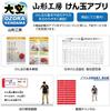 Yamagata Kobo Competition Kendama "Ozora" (Japan Kendama Association Certified) Premium Red & Silver