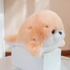 Ocean Baby Series Plush Toys Chubby Cozy Seal Orca Doll Soft Cozy Desktop Pets Lively Cute Kids Companion Animal Birthday Gift