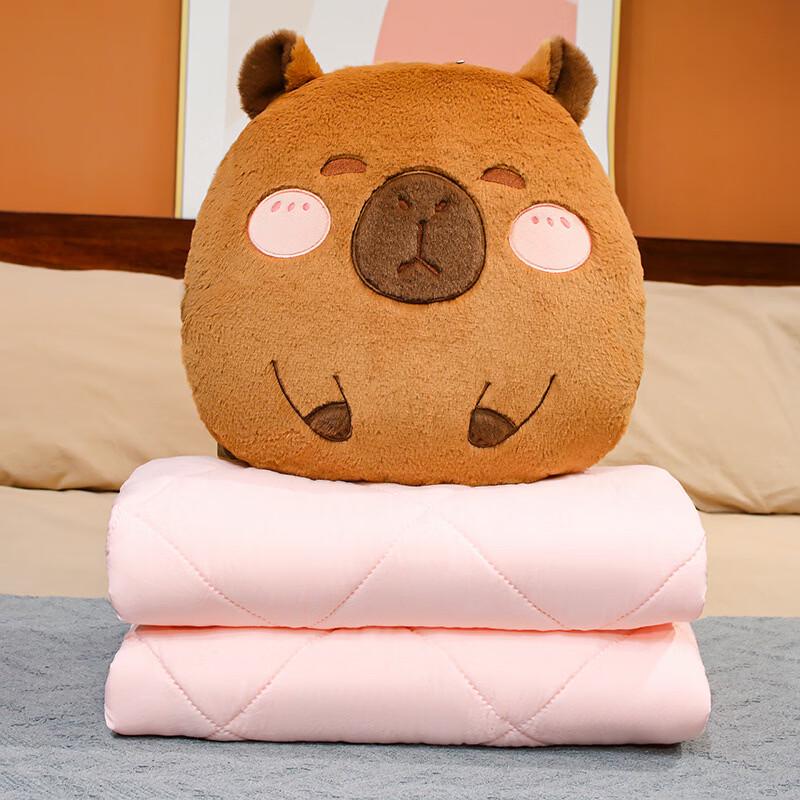Capybara Round Pillow Quilt