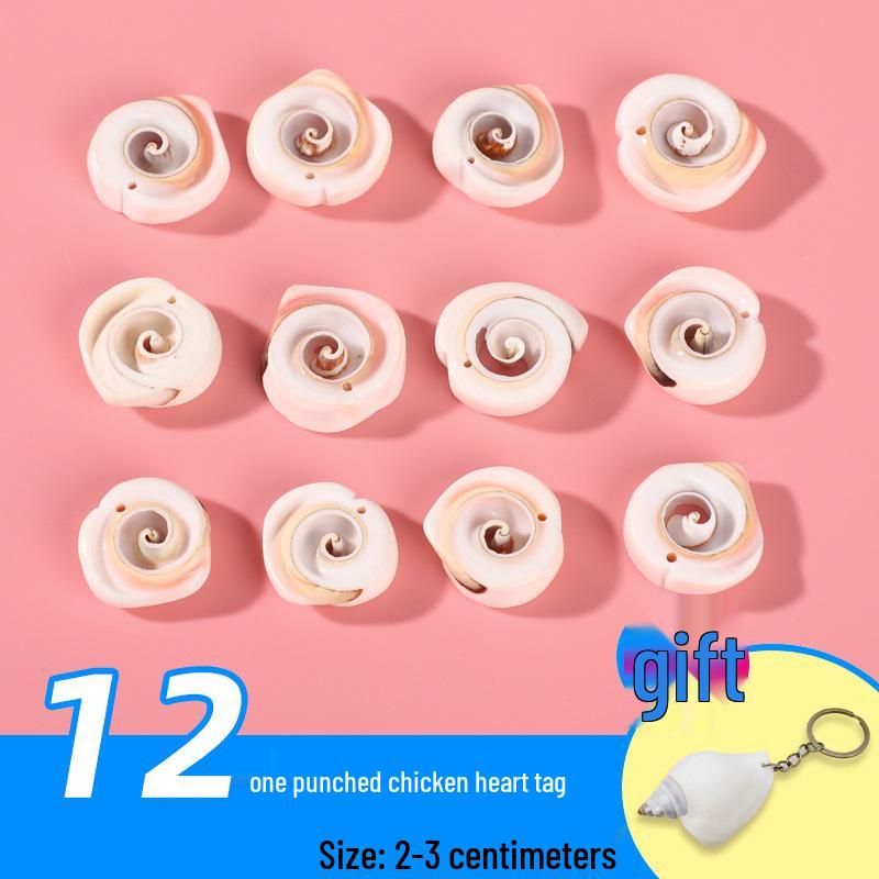 Handmade Decorative Seashells & Starfish for Fish Tanks: Landscaping, Painting, Specimens, Whelks, Hermit Crabs