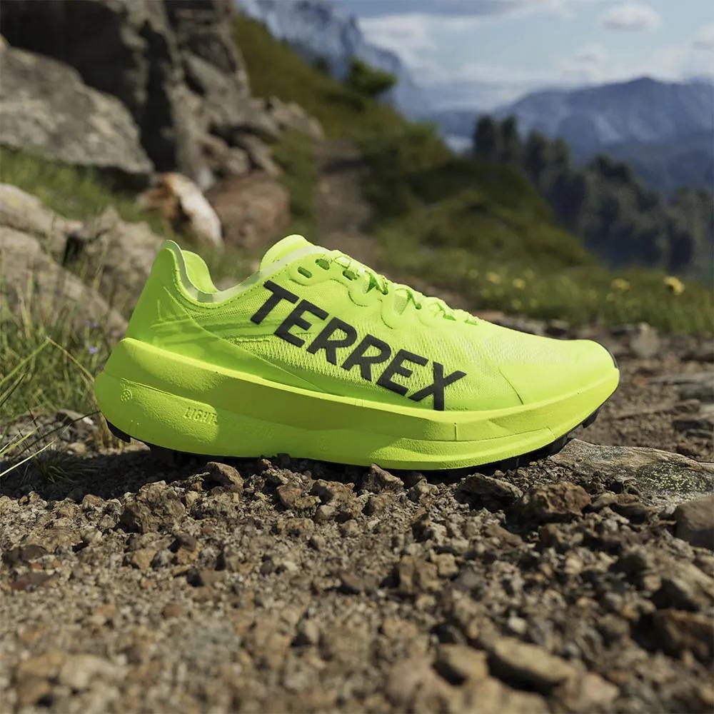 adidas Кроссовки для трейлраннинга Terrex Agravic Speed