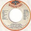 7inch Record JOHNNY'S DANCE BAND - Avenue Of Love JH11461 Windsong Record 1978 US Pop Used