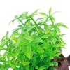 Plastic Tree Aquarium Underwater Plants Ficus Fish Tank Decorations Ornament