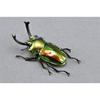 BACALYSO | Nirvana Rainbow Stag Beetle Figure, Lucanidae, 7.3cm, Includes Box, Refrigerator Attachment, Magnetic Ornament, Realistic Adult, Illustrate