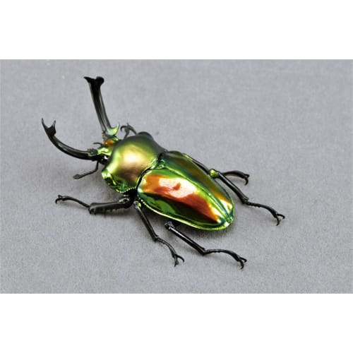 BACALYSO | Nirvana Rainbow Stag Beetle Figure, Lucanidae, 7.3cm, Includes Box, Refrigerator Attachment, Magnetic Ornament, Realistic Adult, Illustrate