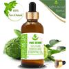 Pure Herbs Kaffir-Limettenblatt 100% Reines Citrus Hystrix Ätherisches Öl Glas UKZA 582