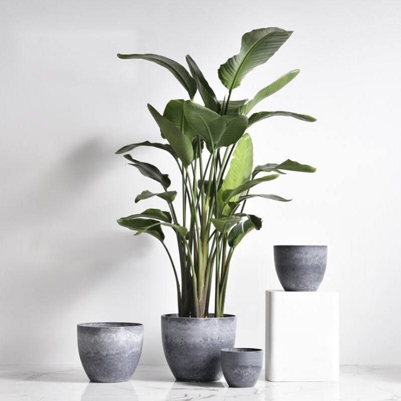 Qiaohao Shiguang Decorative Planters & Vases
