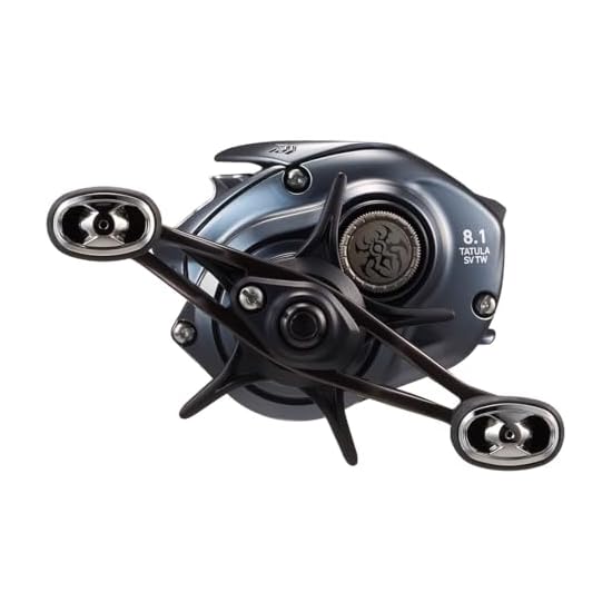 DAIWA Baitcasting Rolle 25 TATULA SV TW 100XHL