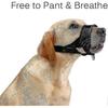Muso Morbido in Nylon per Cani Taglia XL Nero Per Anti Morso Anti Abbaio Anti Masticazione Con Anello Regolabile