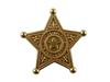 Star Sheriff Badge Safety Pin Brooch In Gold