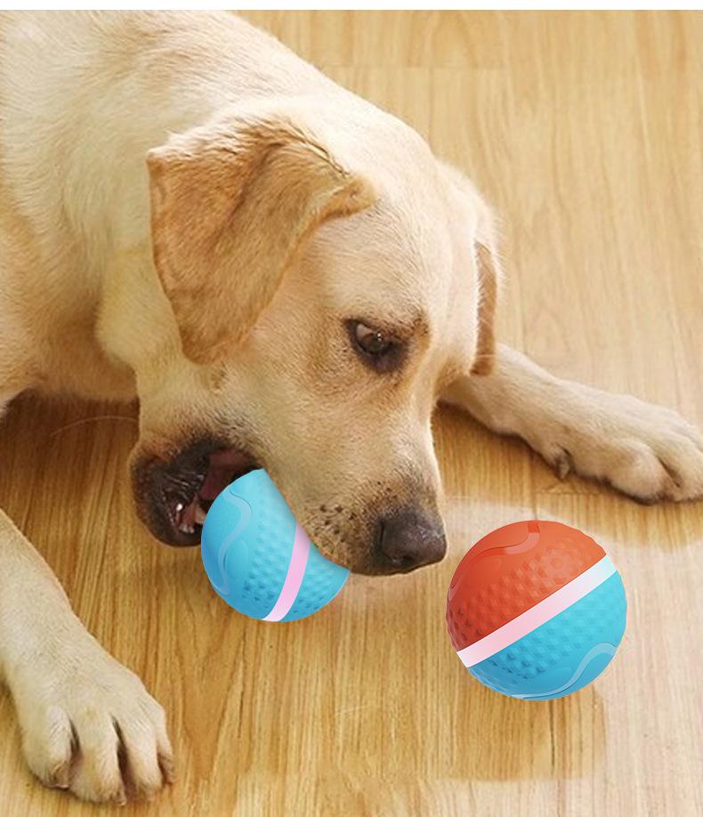 Electric Luminous Pet Toy: Bite-Resistant, Smart Teasing Ball for Dogs and Cats
