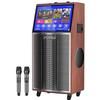SANSUI Portable Karaoke & Dance Speaker System CN Plug (adapter Included)