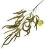 Artificial Mirb Salicaceae With Soft Plastic Leaves For Decoration Indoor