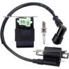 Off-Road ATV & Buggy Accessories: High-Voltage Igniter Coil & Spark Plug for CG125-250cc.