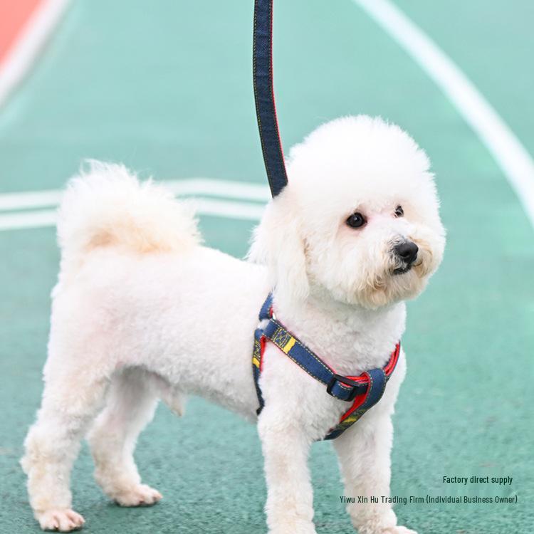 Multi-Size Dog Leash & Collar Set for Walking - Suitable for Small To Large Breeds