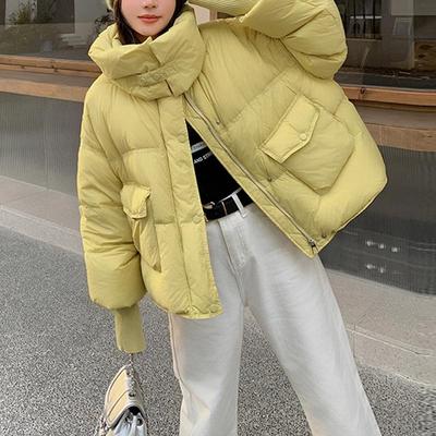 Short Down Stand Collar Jacket Winter Women'S White Duck Down Women'S New Jacket