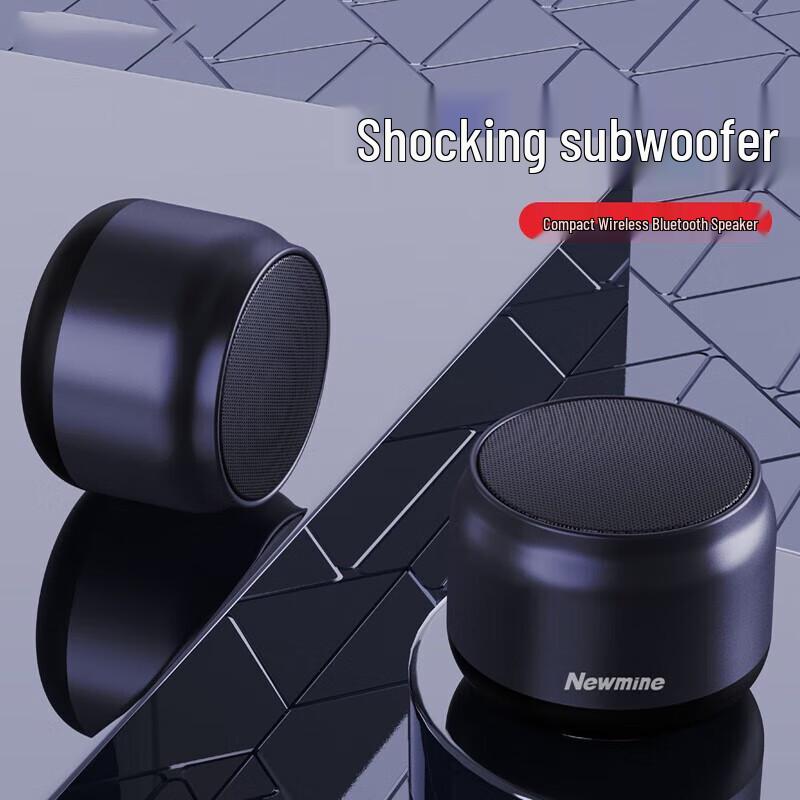 Newmine BT31 Portable Bluetooth Speaker