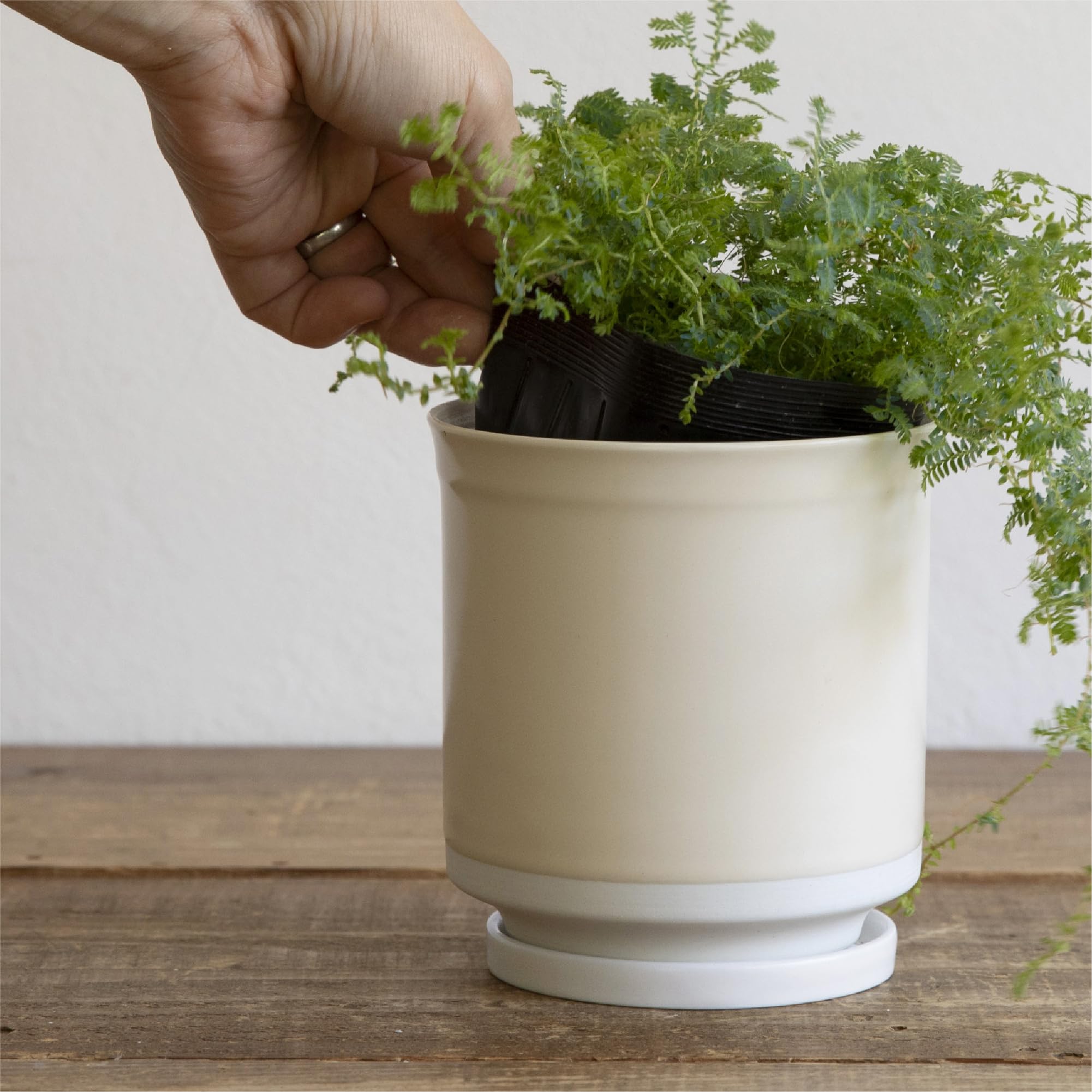 

Цветочный горшок Leaf88 с подставкой Хасами, сделанной в Японии, 10,5x11,5 см, Нет. 3,5, (Слоновая кость белый)