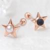 Pendientes – Pendientes de clavel