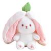 Popular Strawberry & Carrot Rabbit Plush Toy - Children's Birthday Gift