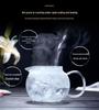 Large-Capacity Heat-Resistant Glass Teapot with Stainless Steel Filter