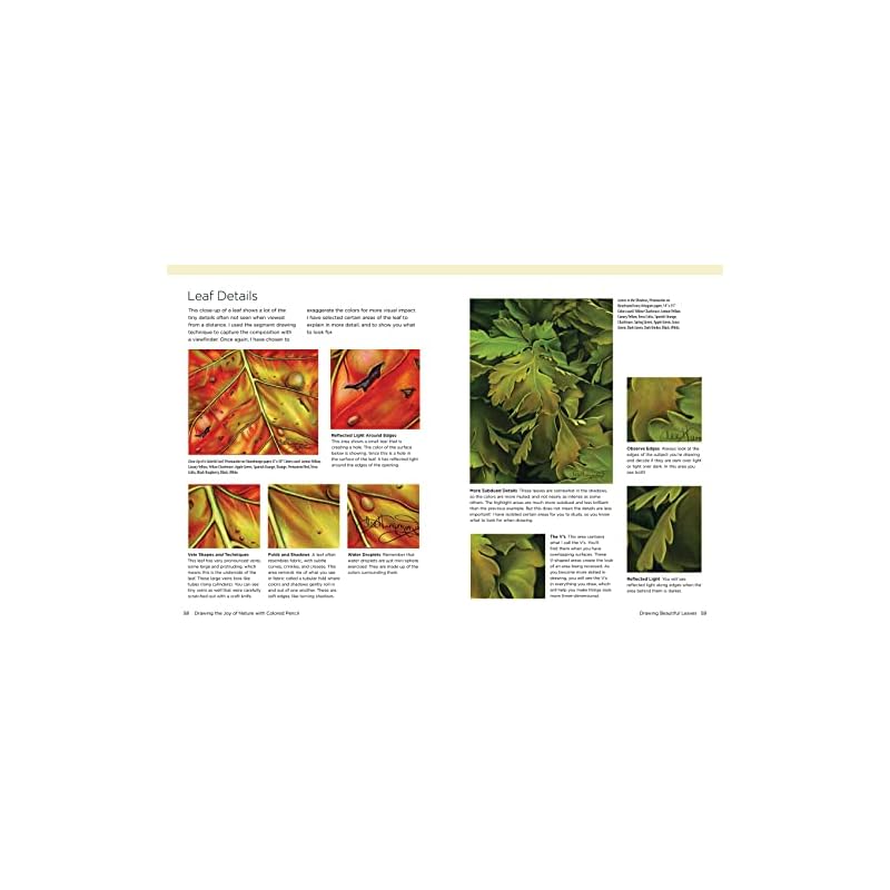 Drawing the Joy of Nature with Ed Pencil: A StepbyStep Guide
