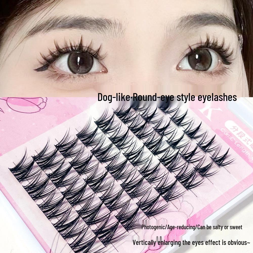 MissWink Dog-Inspired Round Eye False Eyelashes – Puppy Style Daily Segmented Clumps