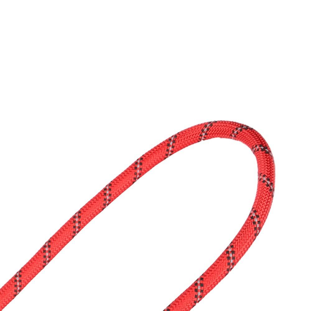 Multi Color Pet Rope Round Rope Pet Walking Strap Small Dog Dog Leash  Pet Training