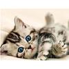5D Diamond Painting Animal Cute Cat Diamond Embroidery Cross Stitch Rhinestones Full Square Round Drill Pictures Art Home Decor