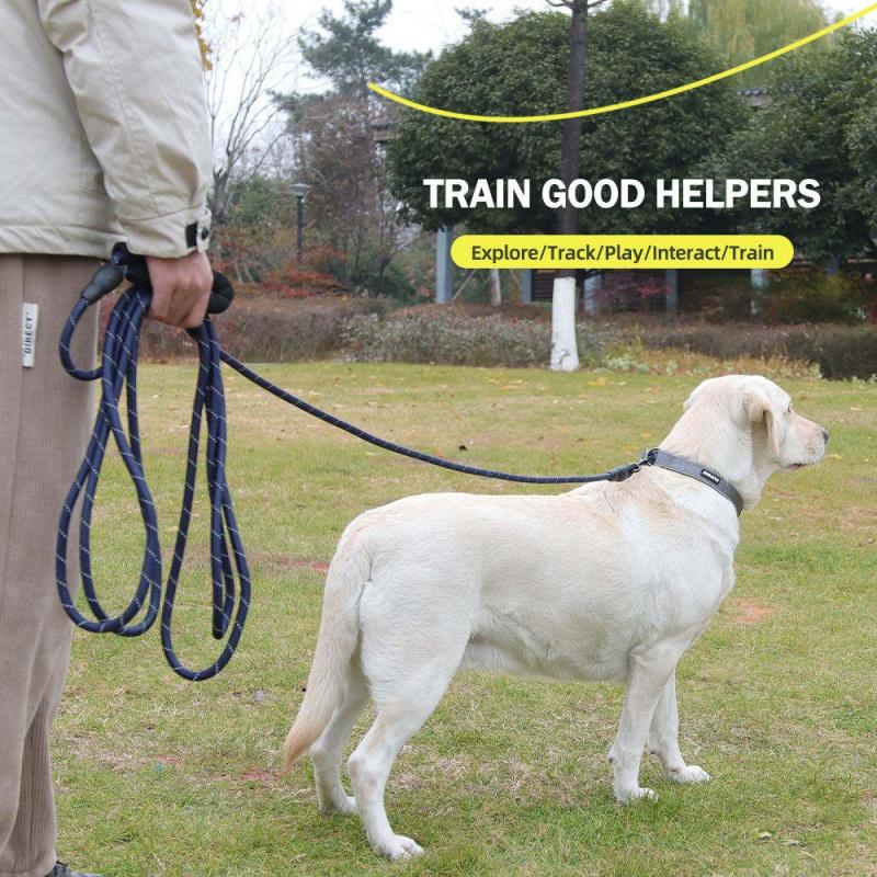 Heavy‑Duty Reinforced Dog Leash With Soft Padded Handle Durable Pet Walking Lead For Small Medium Large Dogs Pet Supplies