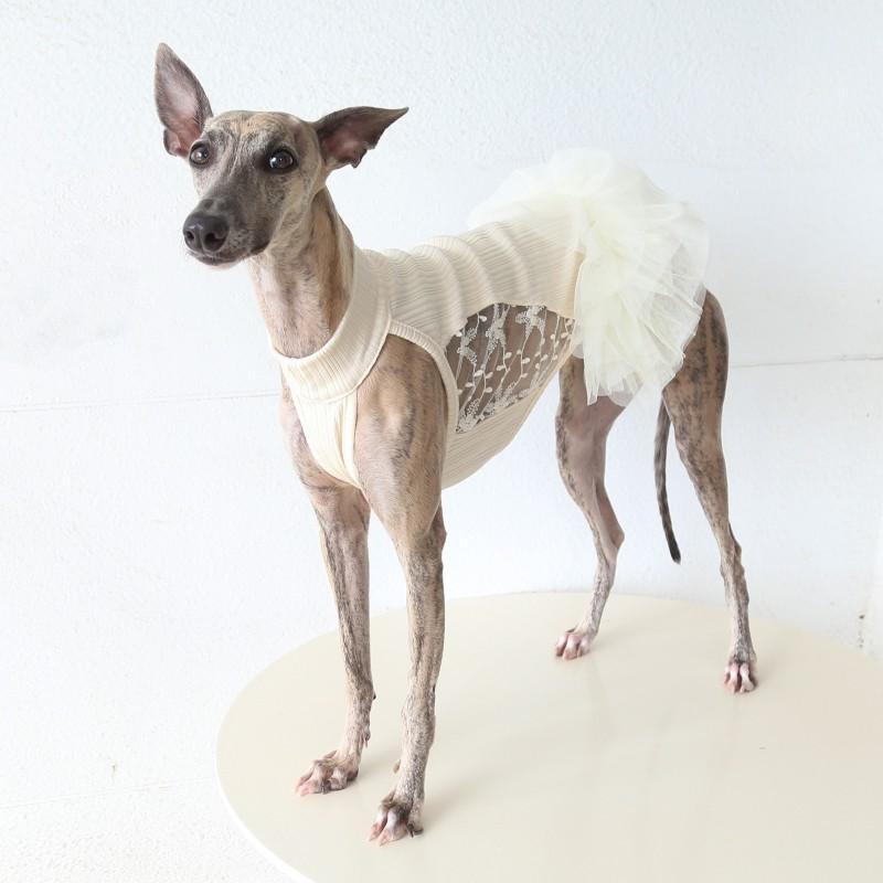 Petstyle Star Flare Waltz Tutu Dress Italian Greyhound Whippet Dog Clothes