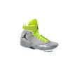 Jordan 2012 Wolf Grey 484654-001