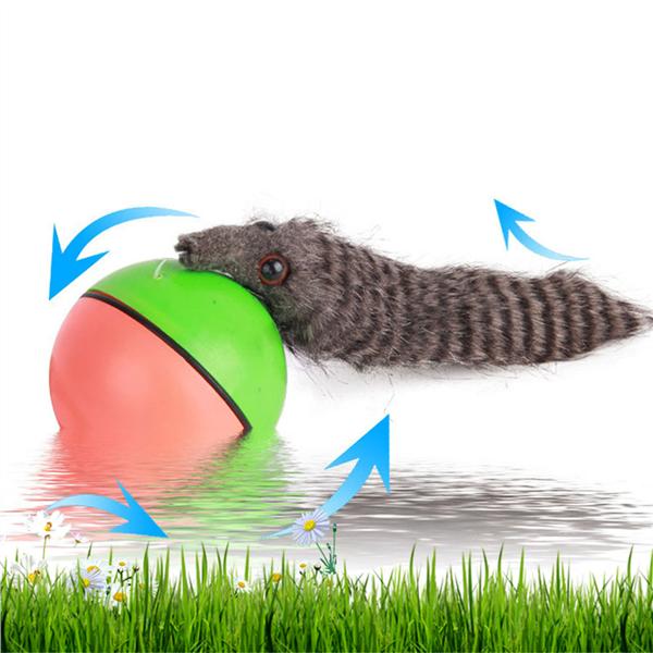 Buy Beaver Ball Electric Beaver Weasel Toy Lightweight Rolling