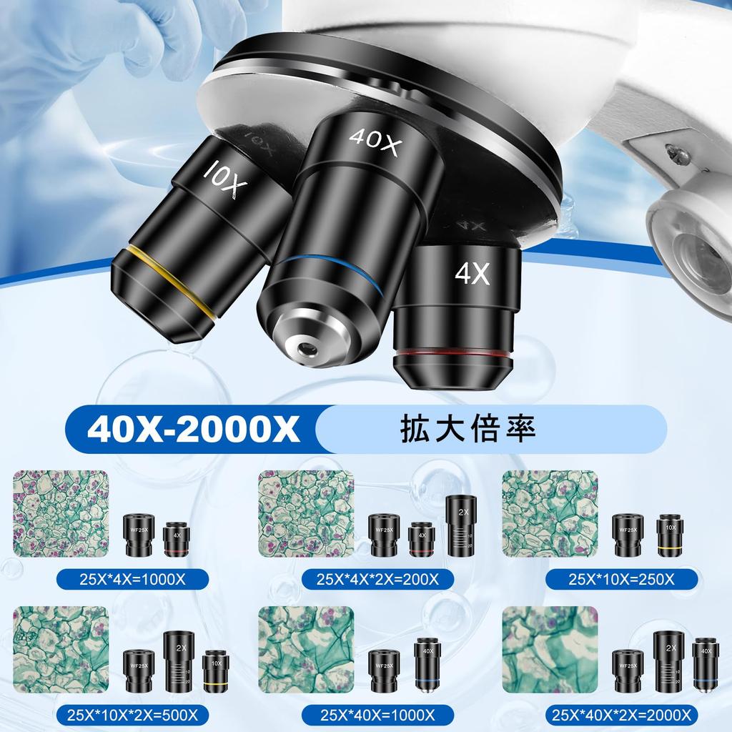 Microscope for Adults and Kids, Science School Lab Home Education Biology, 40-2000x Magnification, Easy to Use, Phone Holder, 10 Specimen Slides, 100