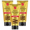 Elastin Argan Oil Damaged Hair Treatment 300ml 3 Pcs