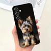 Yorkshire Terrier Dog Phone Case Phone Case For Samsung S25,S24,S21,S22,S23,S30,Ultra,S20,Plus,Fe,Lite,Note,10,9,5G Black Cover