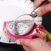 Stainless Steel Melon Slicer & Separator