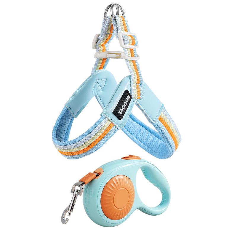 Breathable Color Block Harness & Leash for Small/Medium Dogs - Teddy, Shiba Inu