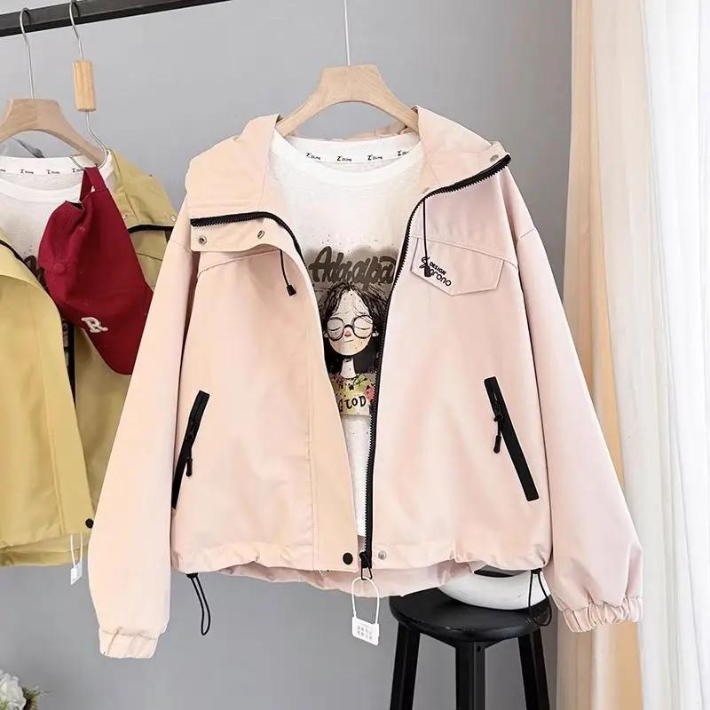 

2025 Весна Новинка Свободный Дизайн Худи Толстовка Вышитая Буквами Куртка для Женщин L розовый